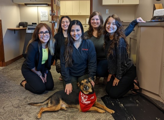 Group of Capital Credit Union employees with dog