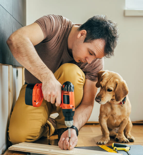 Puppy watching a man drilling a board using power drill.