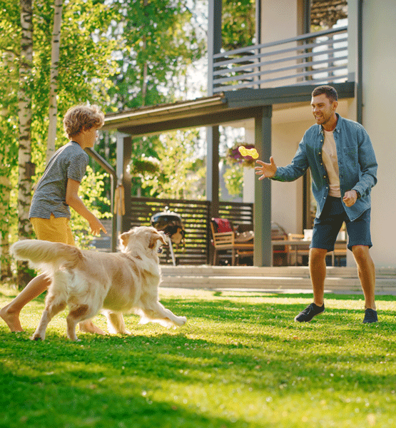 Father and son playing fetch with the dog