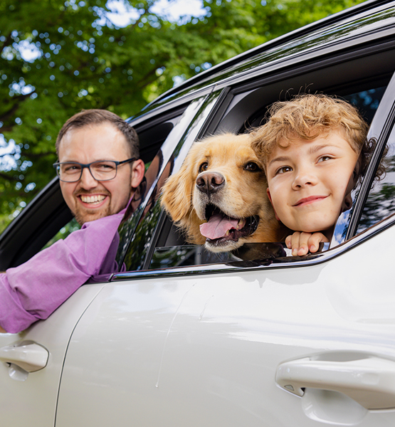 Man, golden retriever dog and a cute little boy sticking head out of the window of a car.